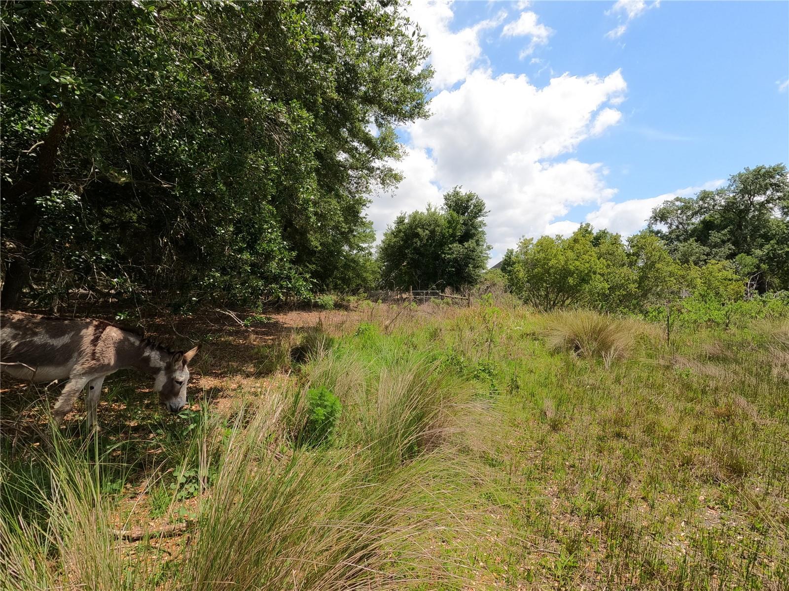 0 EARTH STAR LN, GROVELAND, FL, 34736