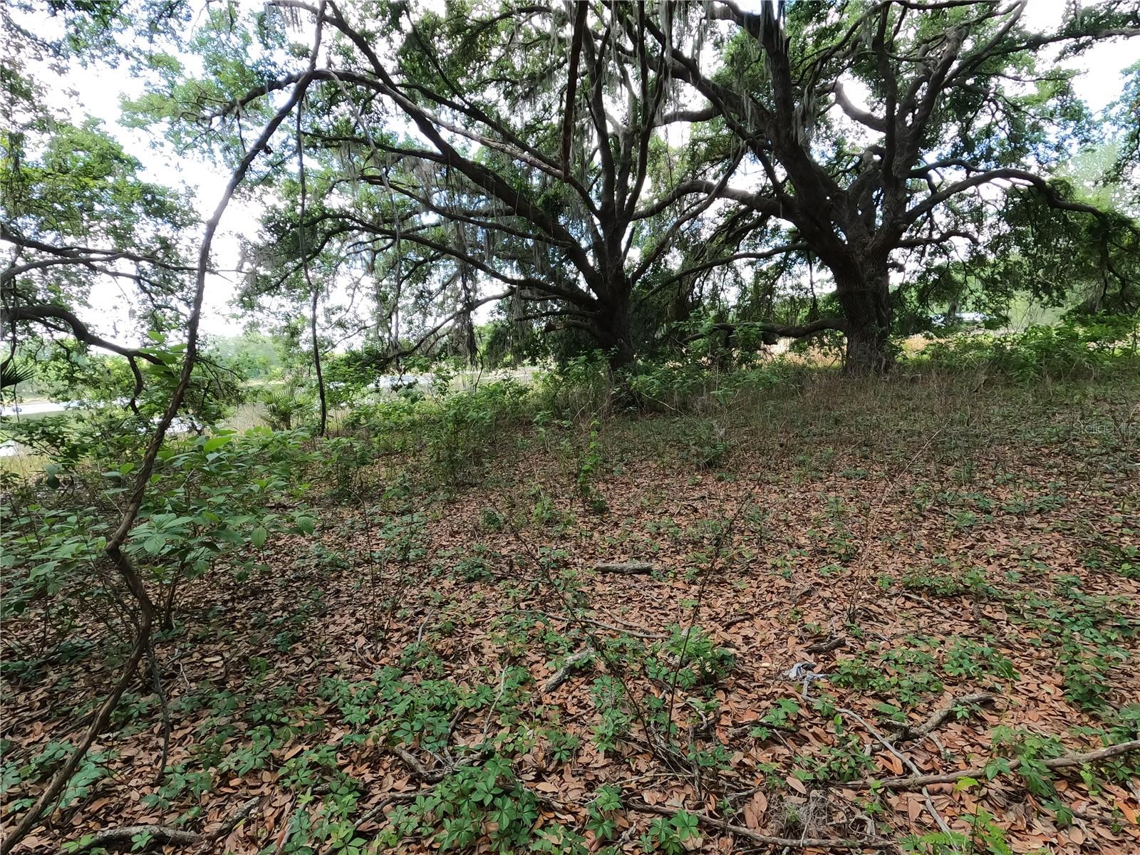 0 EARTH STAR LN, GROVELAND, FL, 34736