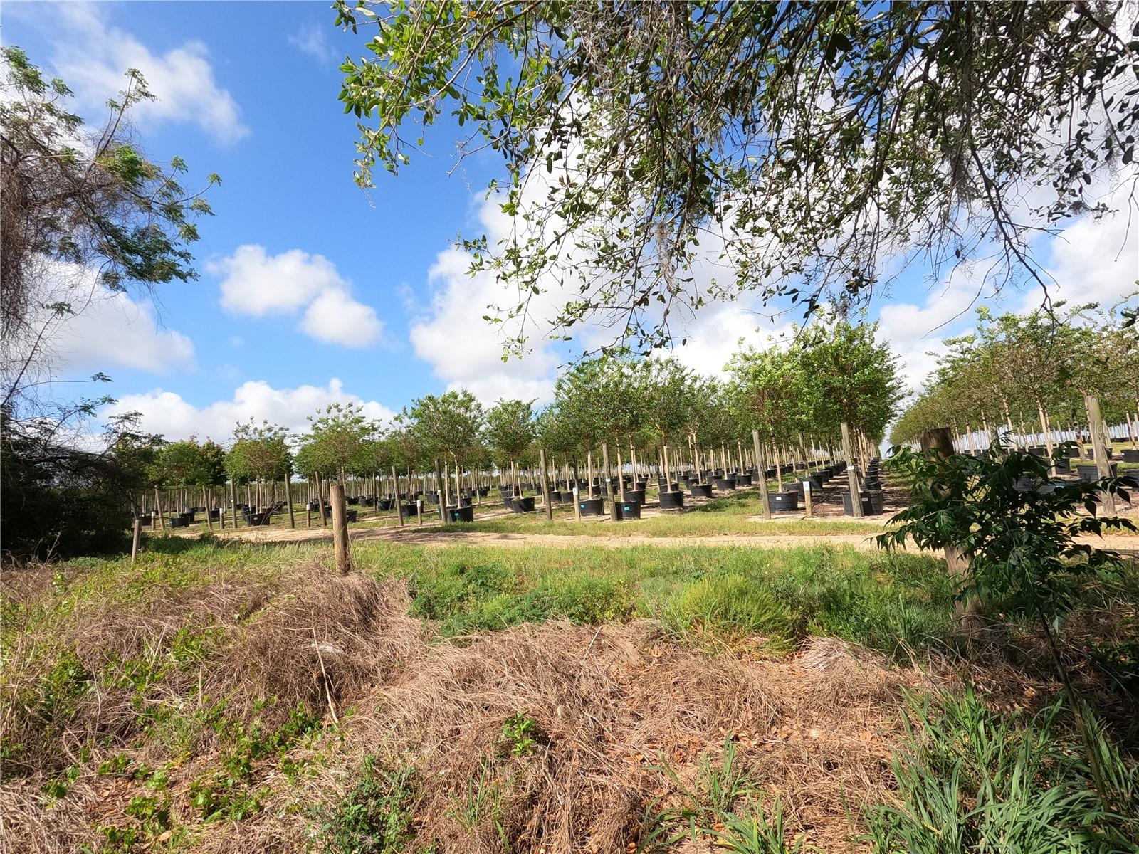 0 EARTH STAR LN, GROVELAND, FL, 34736