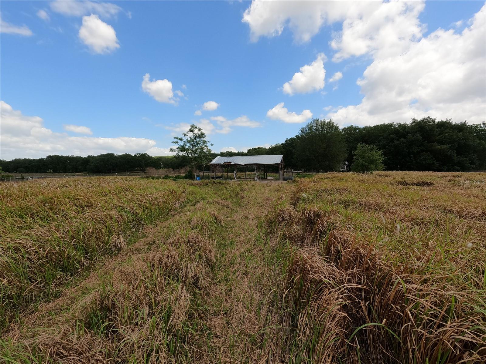 0 EARTH STAR LN, GROVELAND, FL, 34736