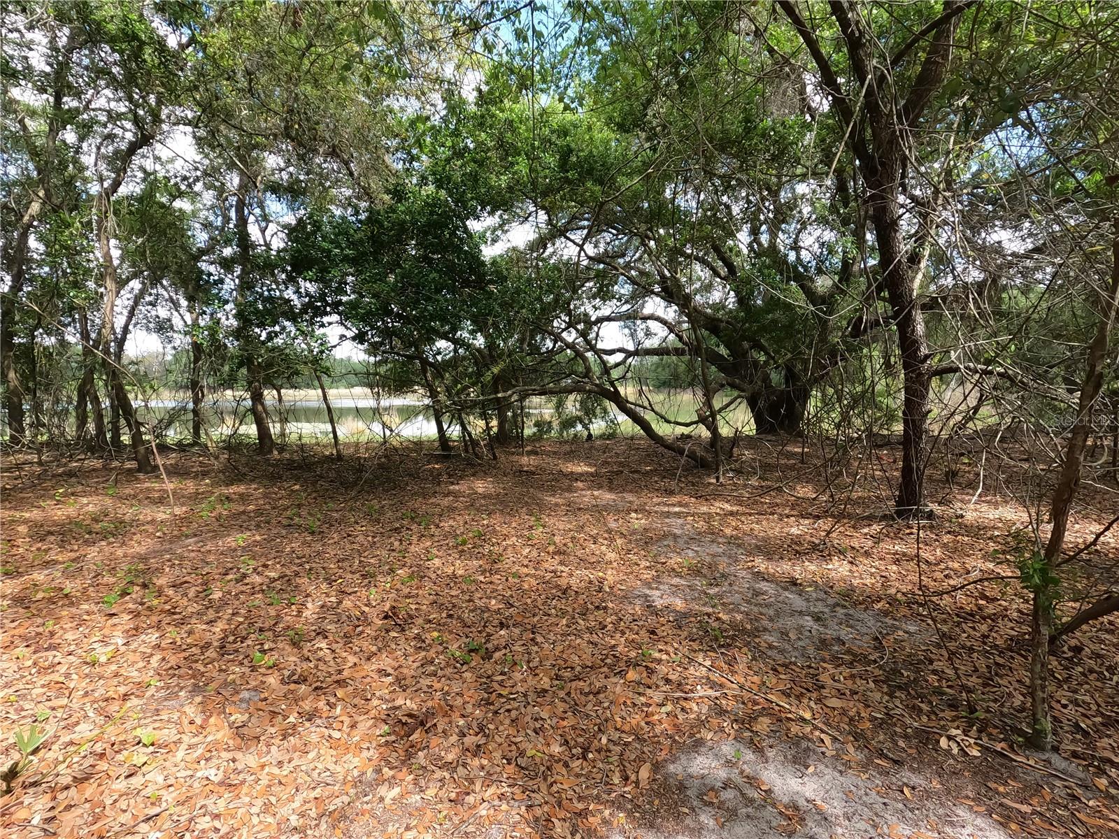 0 EARTH STAR LN, GROVELAND, FL, 34736