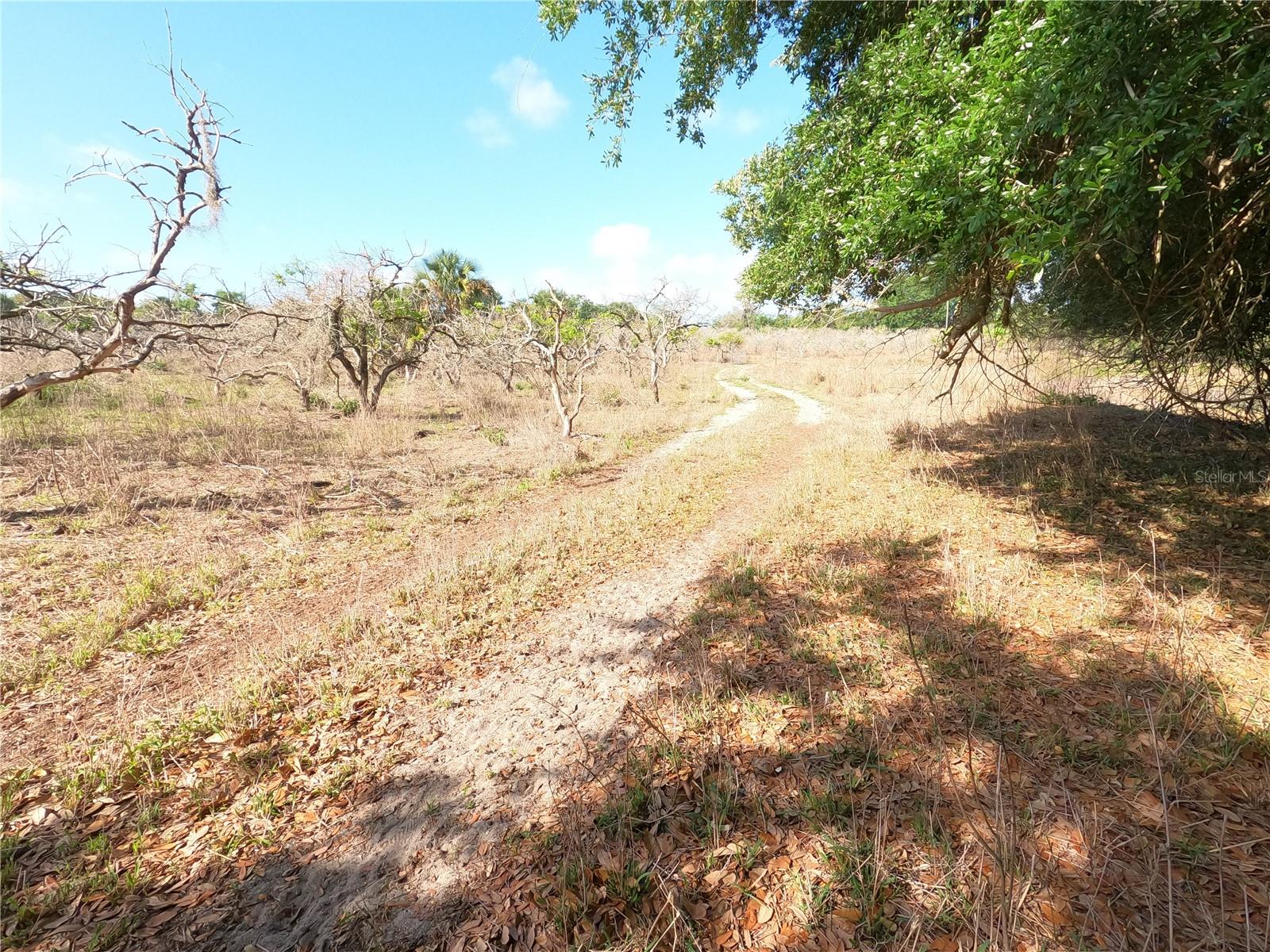 0 EARTH STAR LN, GROVELAND, FL, 34736