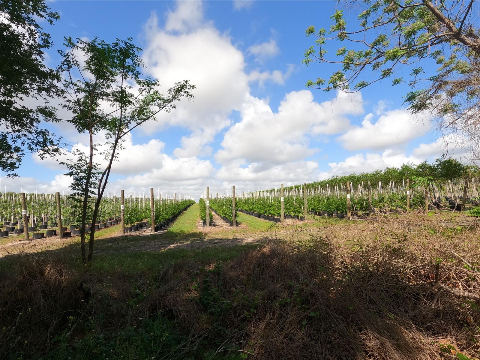 0 EARTH STAR LN, GROVELAND, FL, 34736