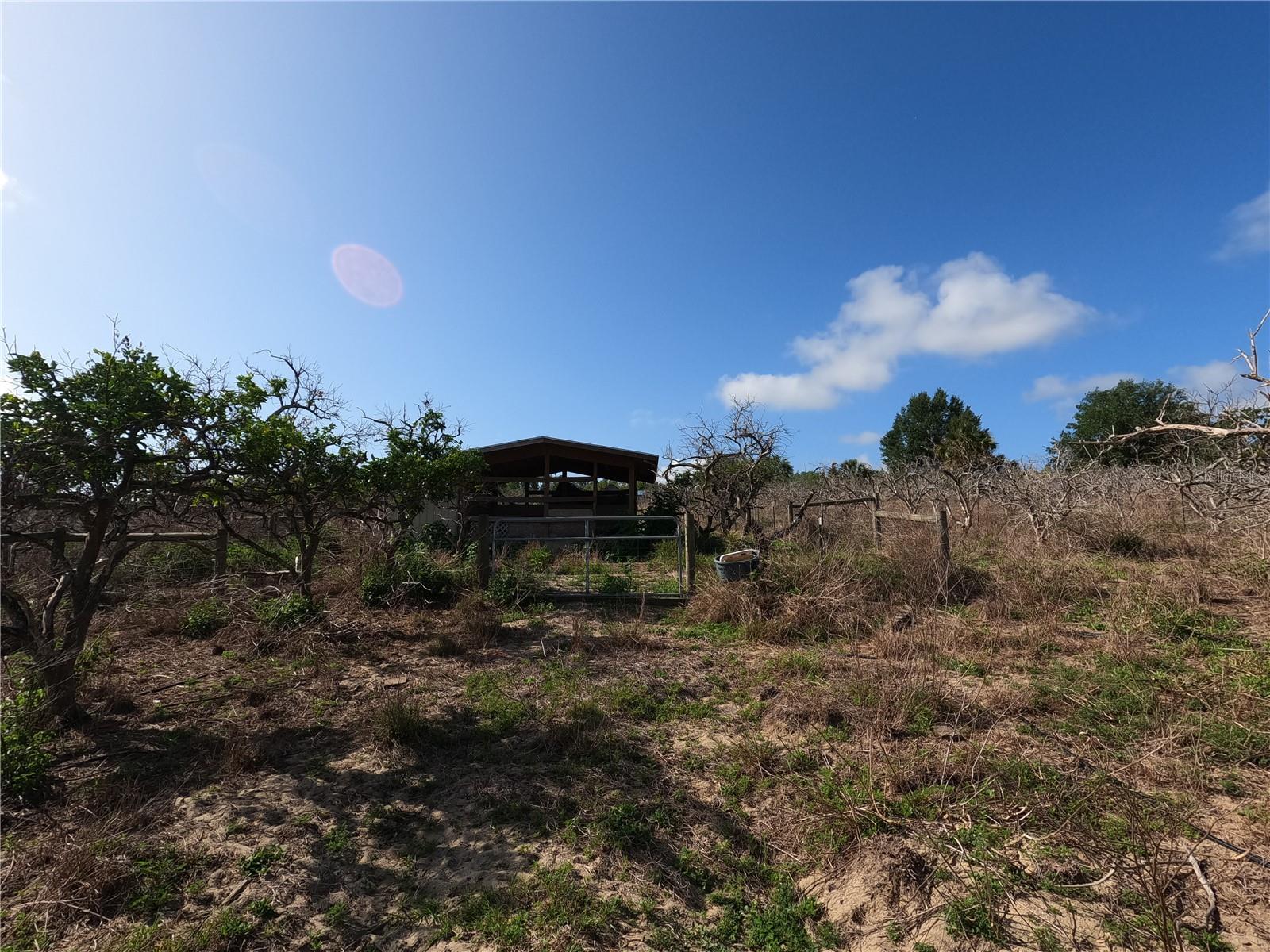 0 EARTH STAR LN, GROVELAND, FL, 34736