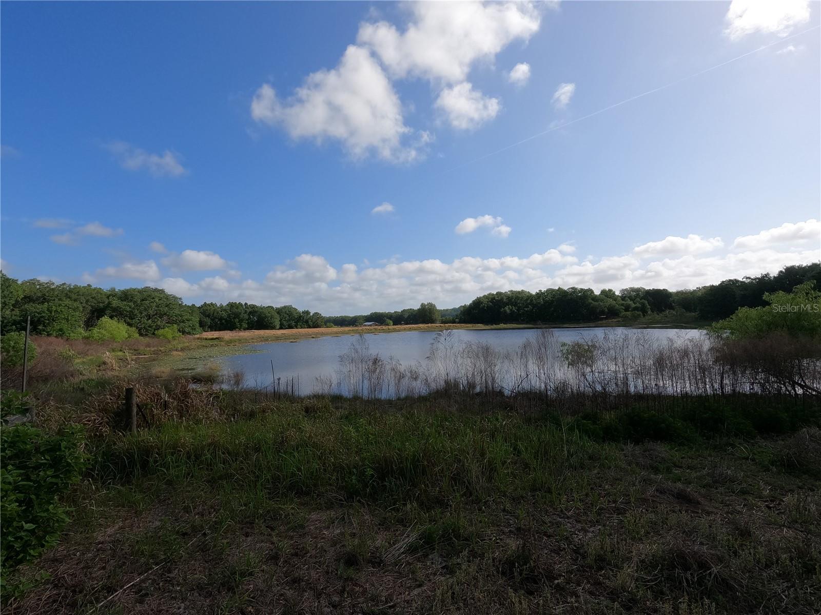 0 EARTH STAR LN, GROVELAND, FL, 34736