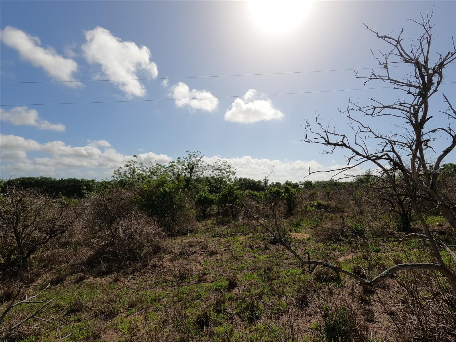 0 EARTH STAR LN, GROVELAND, FL, 34736