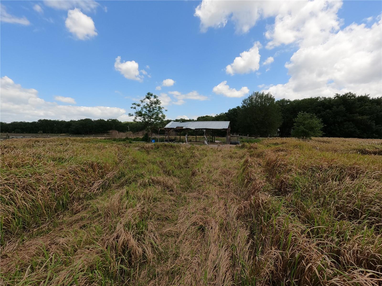 0 EARTH STAR LN, GROVELAND, FL, 34736