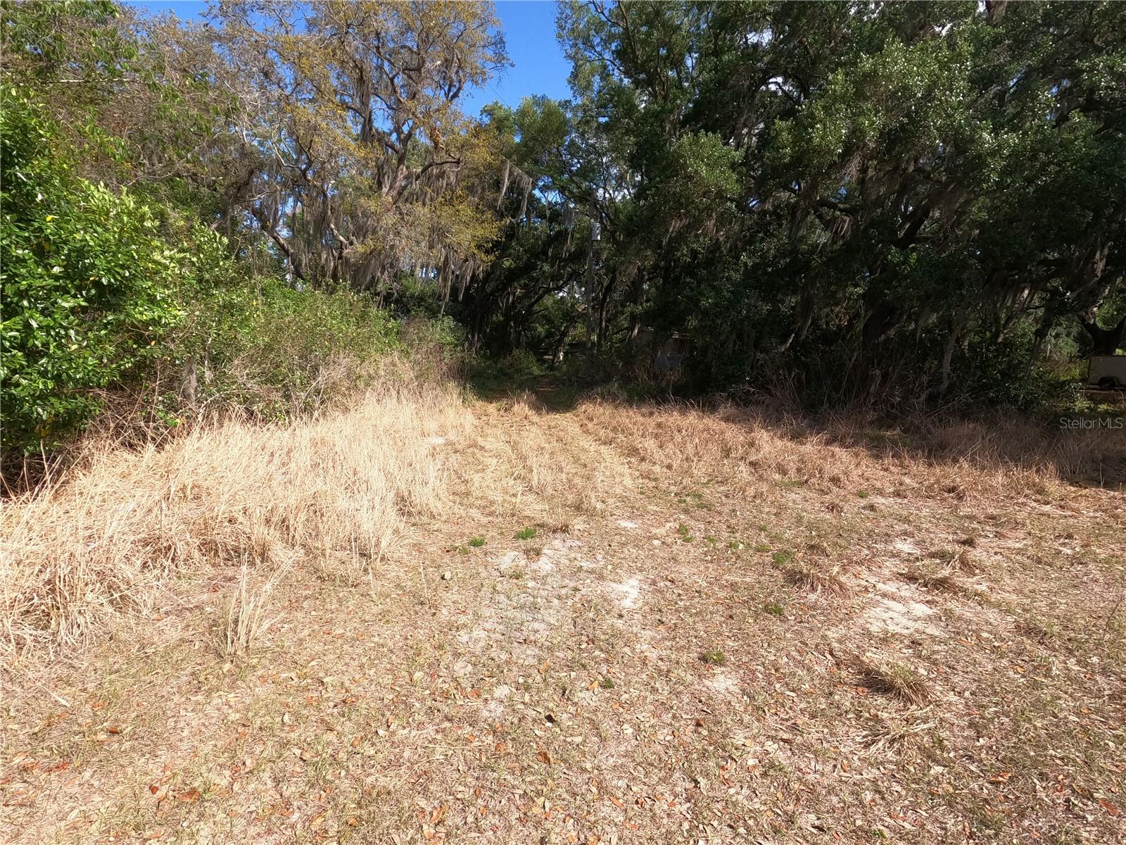 0 EARTH STAR LN, GROVELAND, FL, 34736