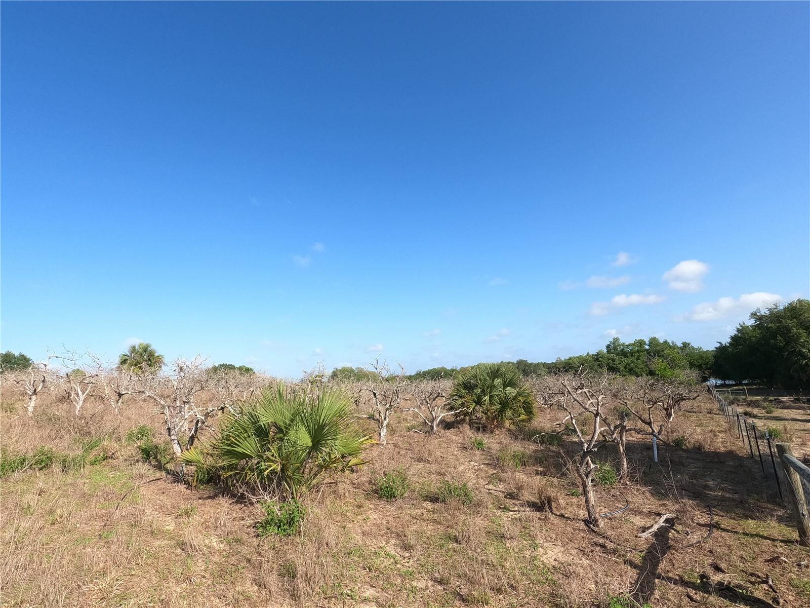 0 EARTH STAR LN, GROVELAND, FL, 34736