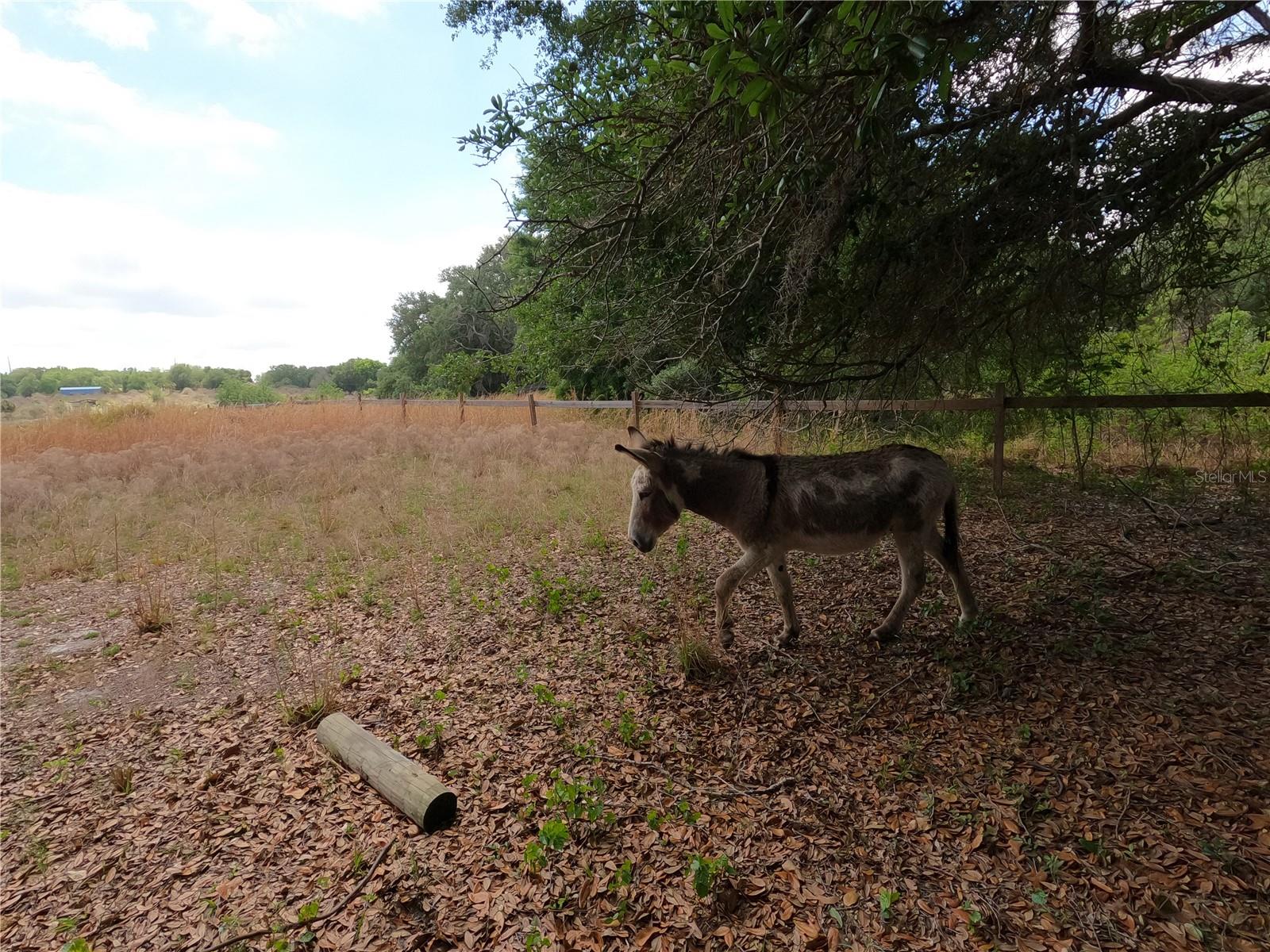 0 EARTH STAR LN, GROVELAND, FL, 34736