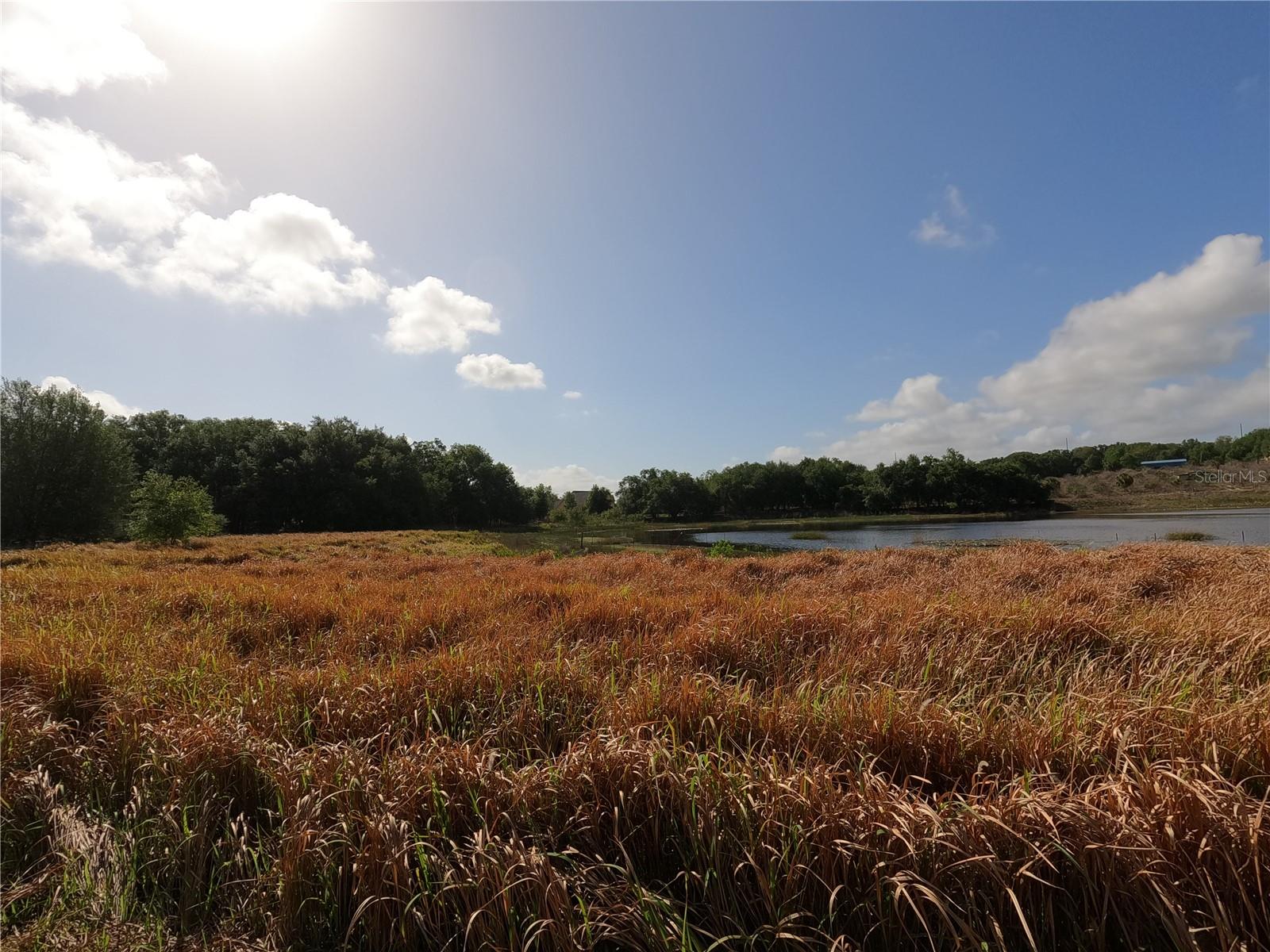 0 EARTH STAR LN, GROVELAND, FL, 34736