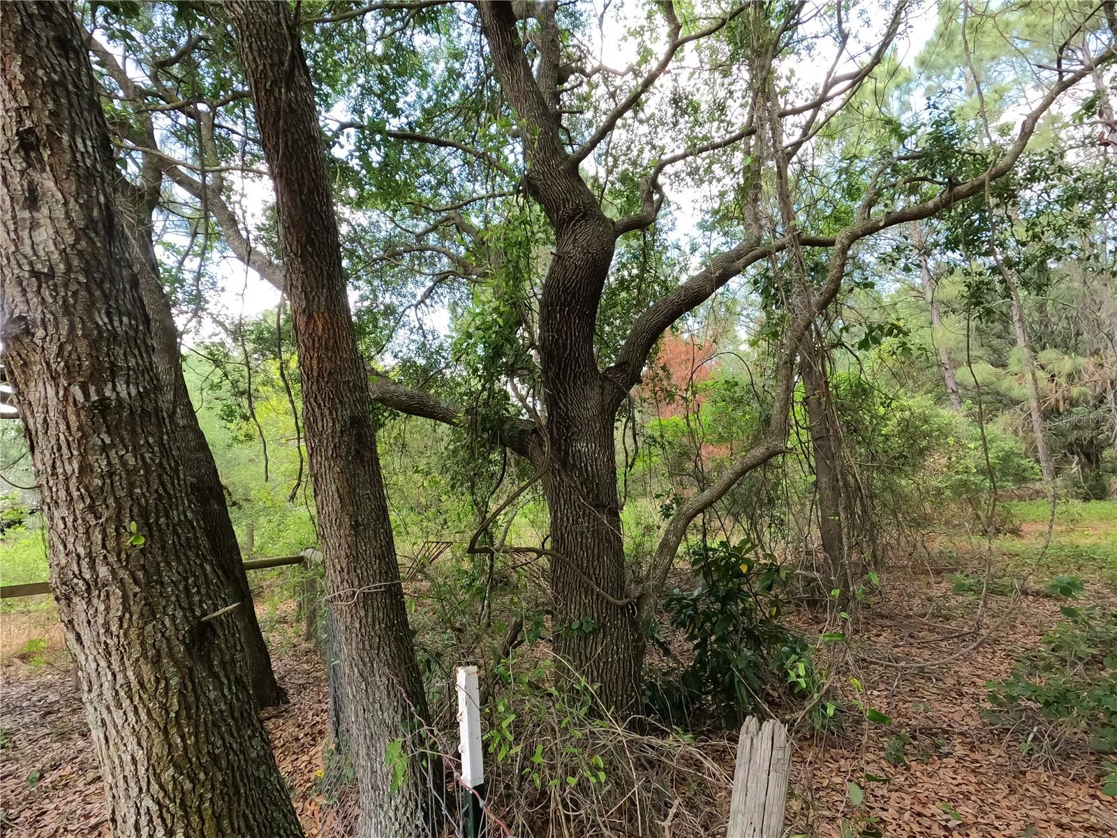 0 EARTH STAR LN, GROVELAND, FL, 34736