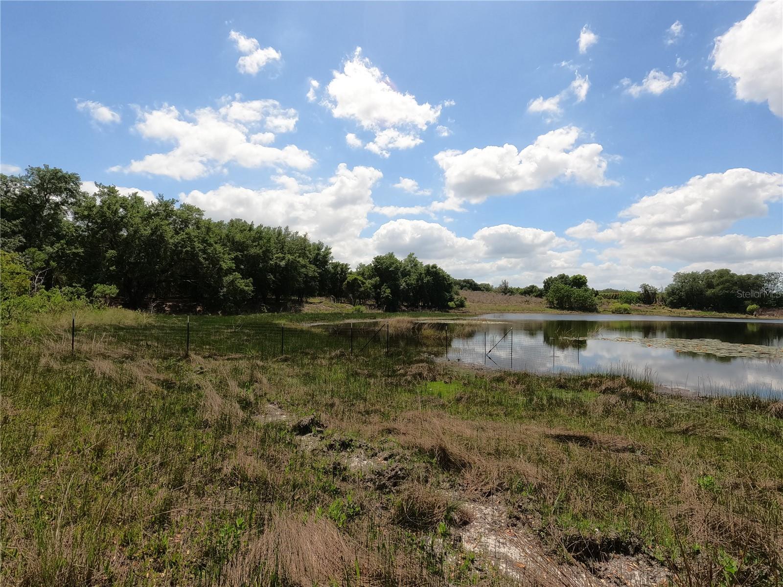 0 EARTH STAR LN, GROVELAND, FL, 34736