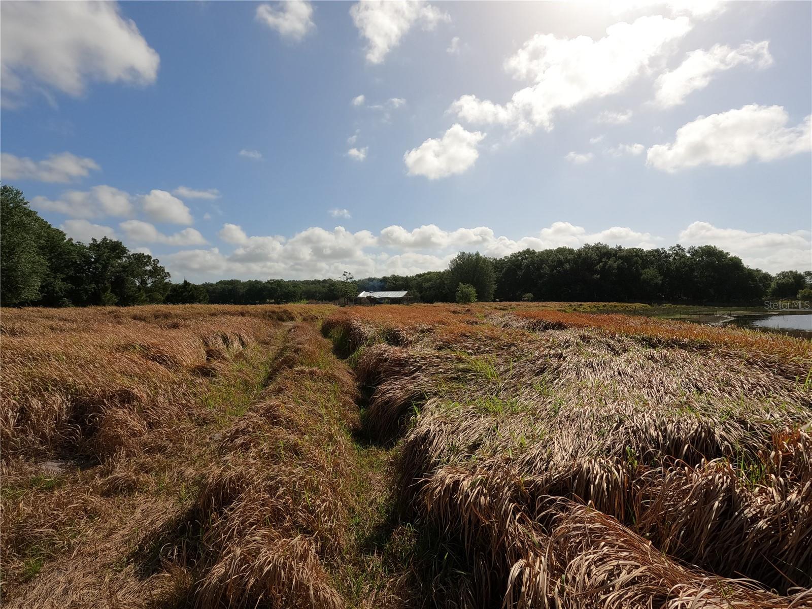 0 EARTH STAR LN, GROVELAND, FL, 34736