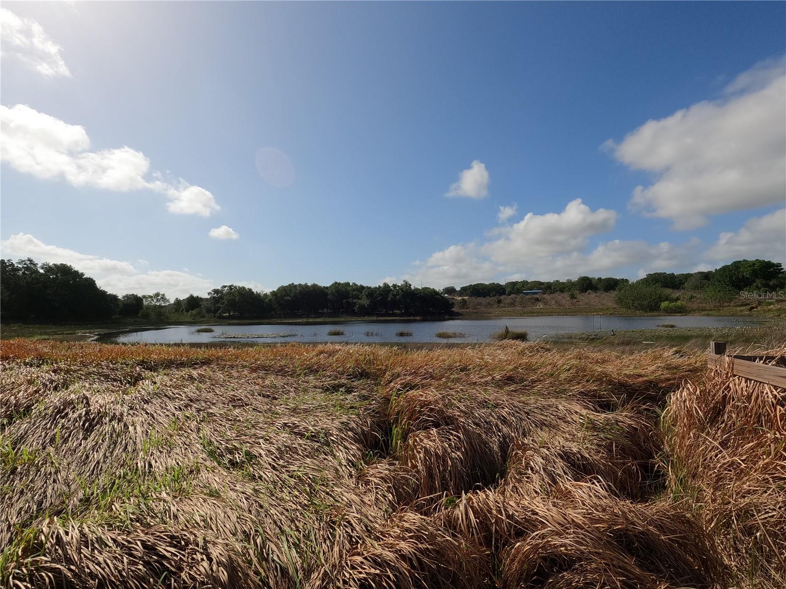 0 EARTH STAR LN, GROVELAND, FL, 34736