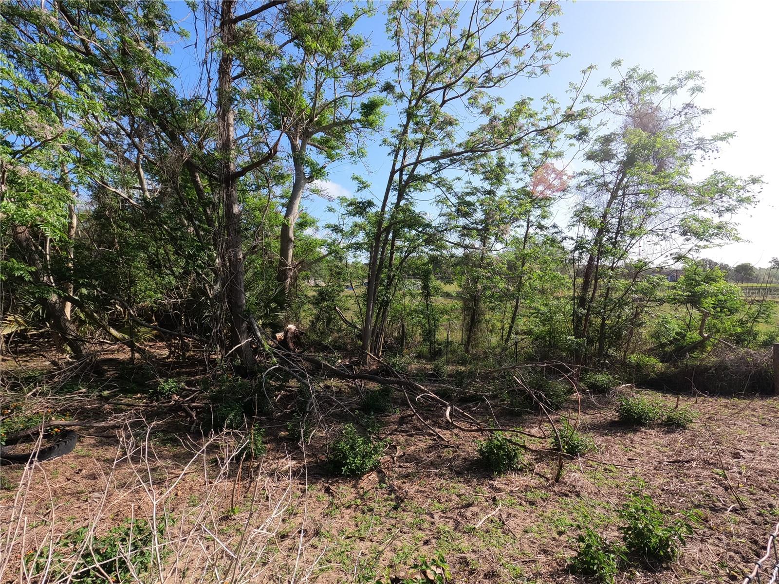 0 EARTH STAR LN, GROVELAND, FL, 34736