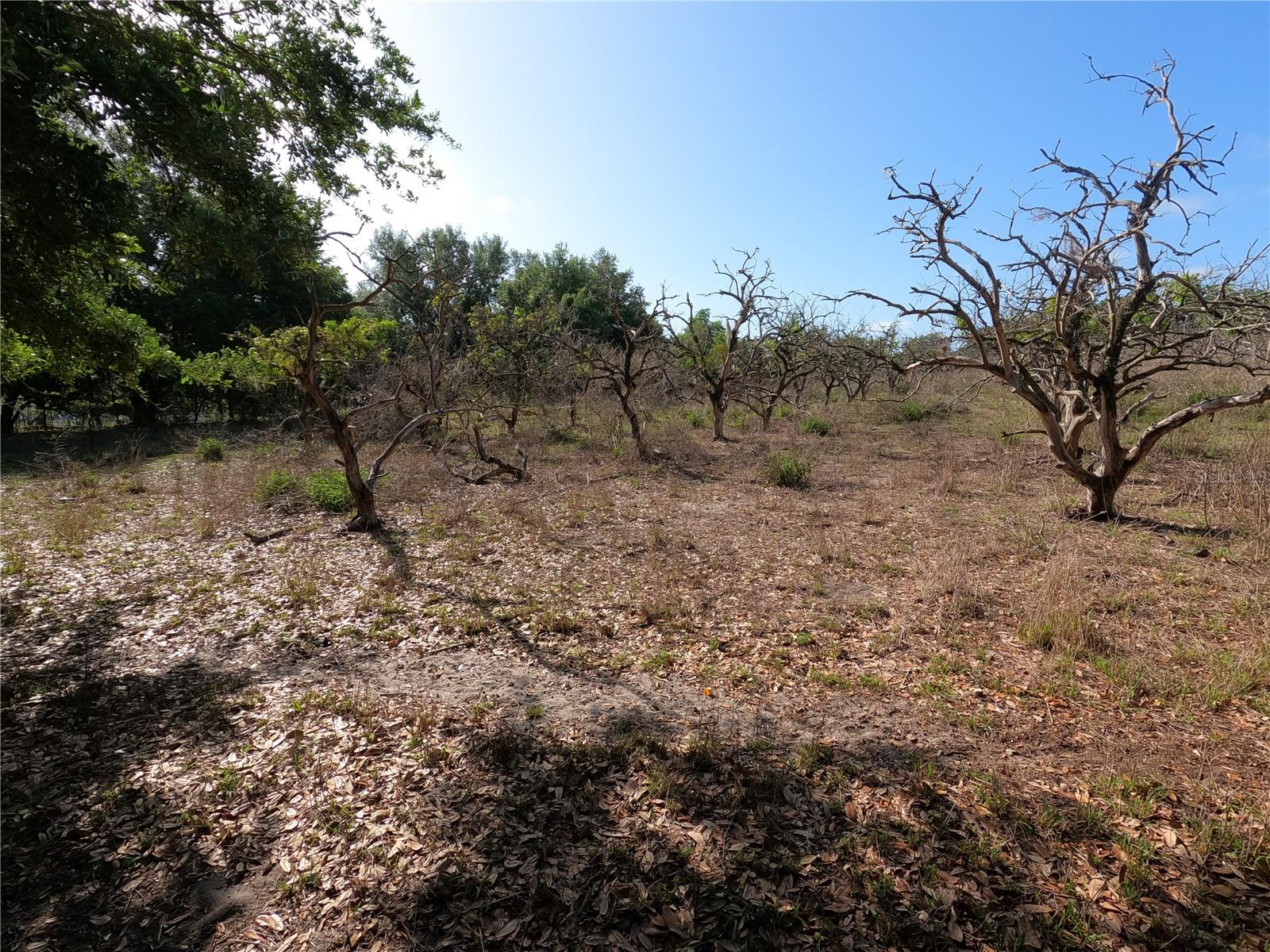 0 EARTH STAR LN, GROVELAND, FL, 34736