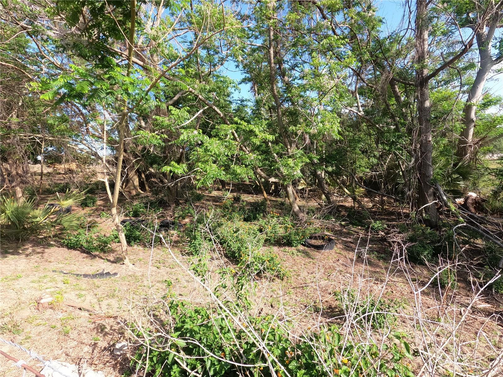 0 EARTH STAR LN, GROVELAND, FL, 34736