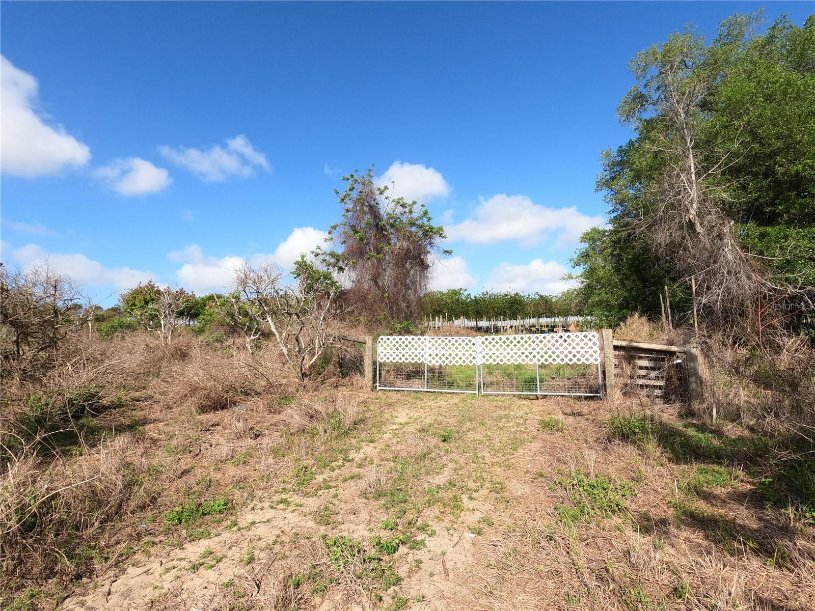 0 EARTH STAR LN, GROVELAND, FL, 34736