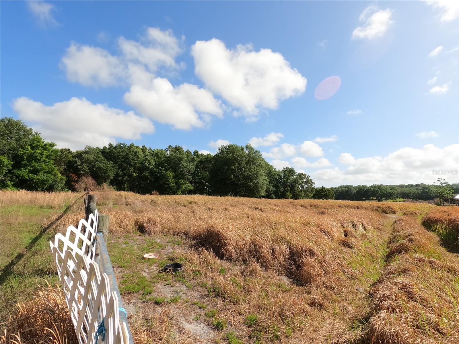 0 EARTH STAR LN, GROVELAND, FL, 34736