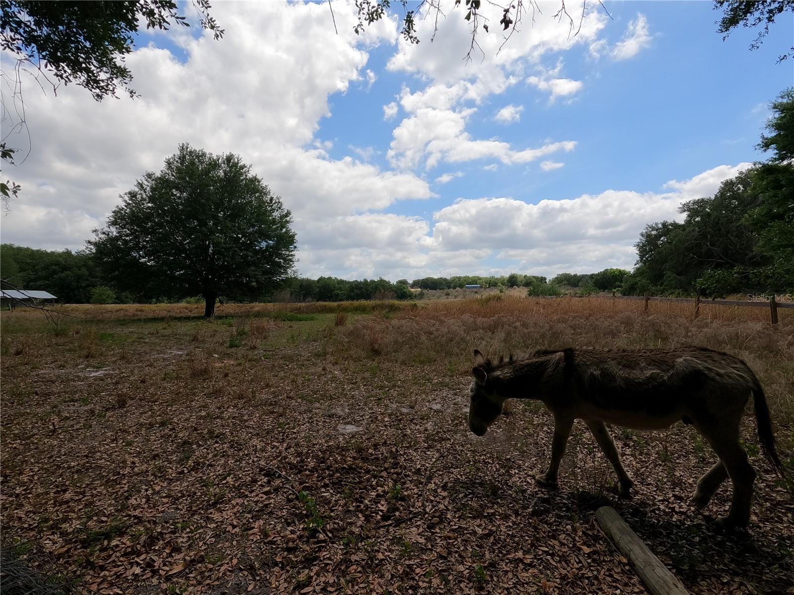 0 EARTH STAR LN, GROVELAND, FL, 34736