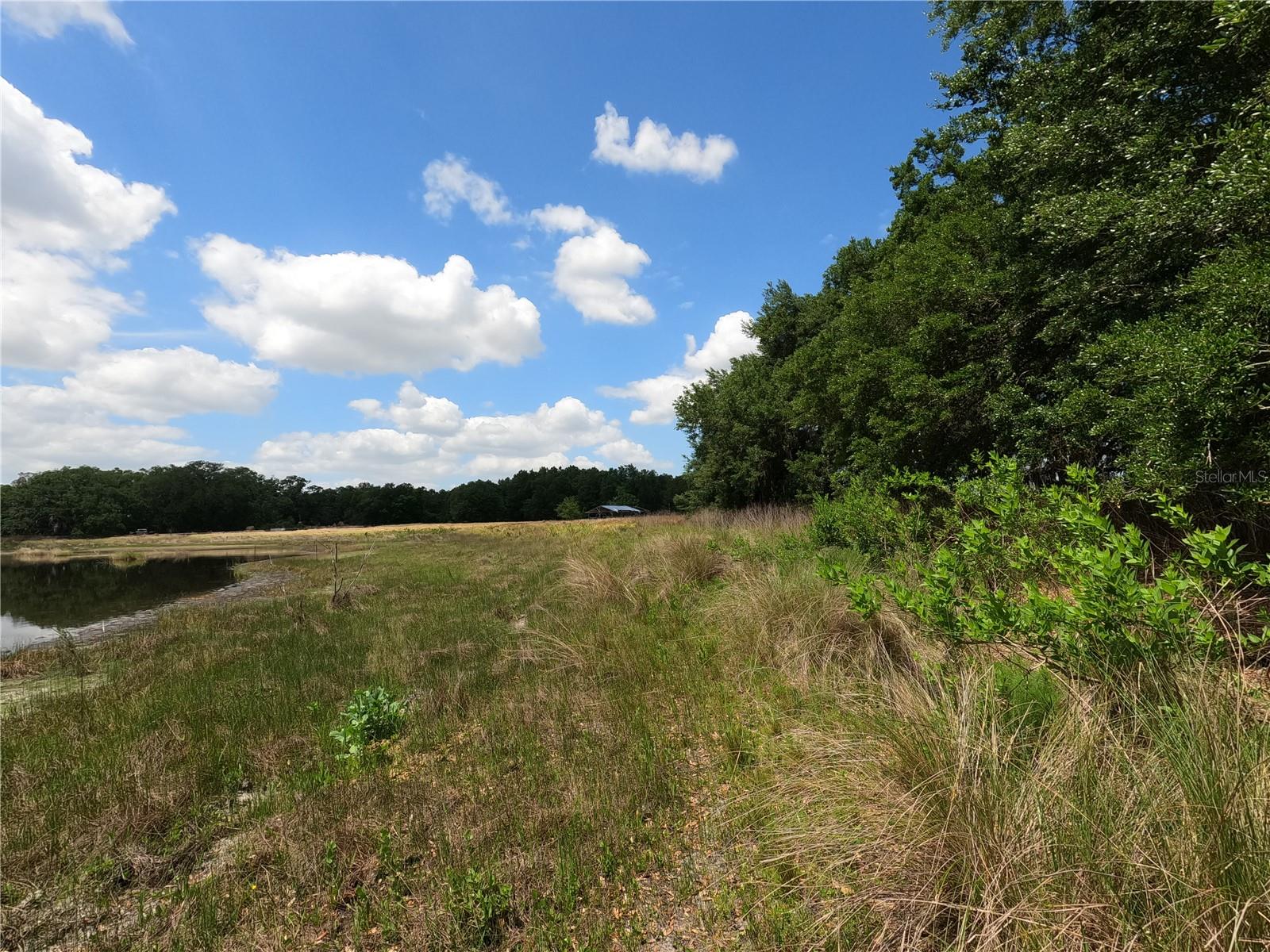 0 EARTH STAR LN, GROVELAND, FL, 34736