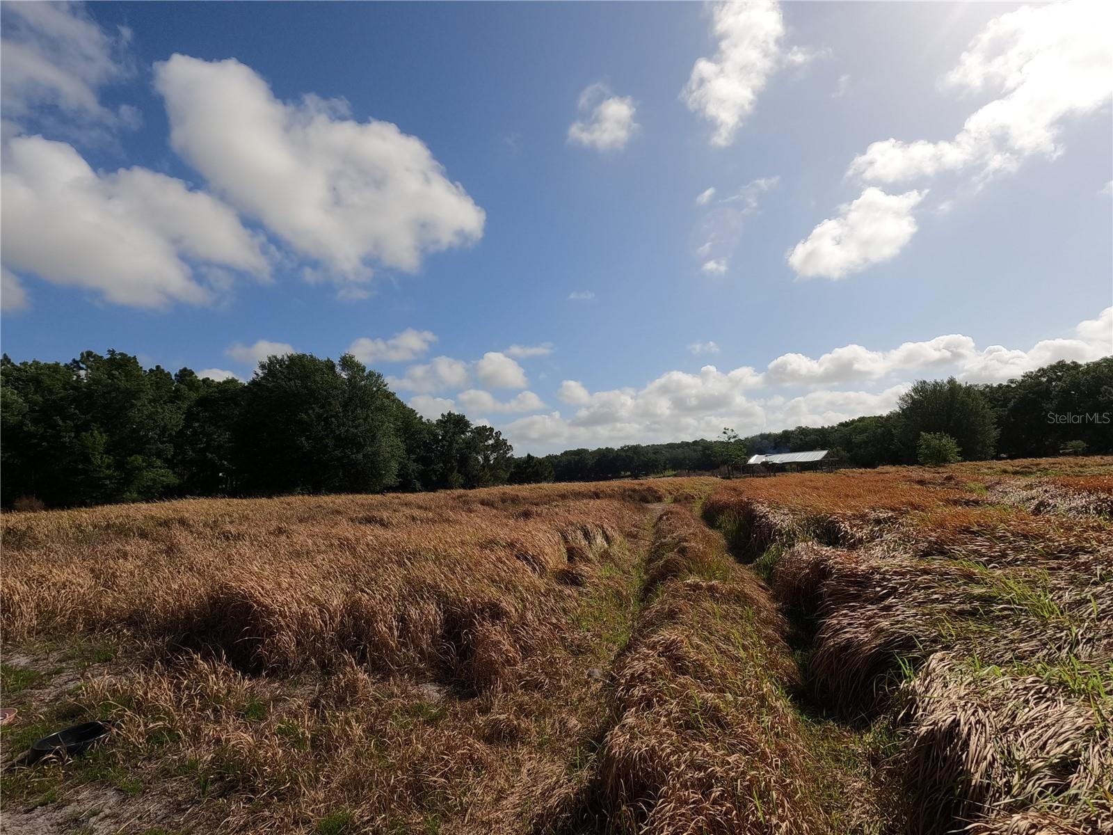 0 EARTH STAR LN, GROVELAND, FL, 34736