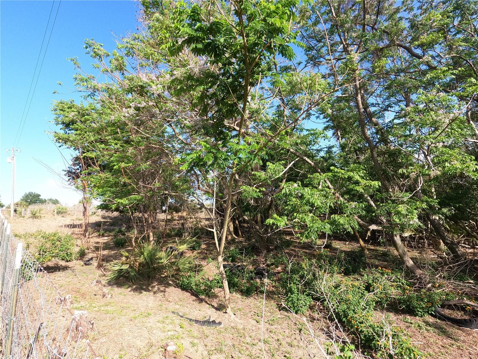 0 EARTH STAR LN, GROVELAND, FL, 34736