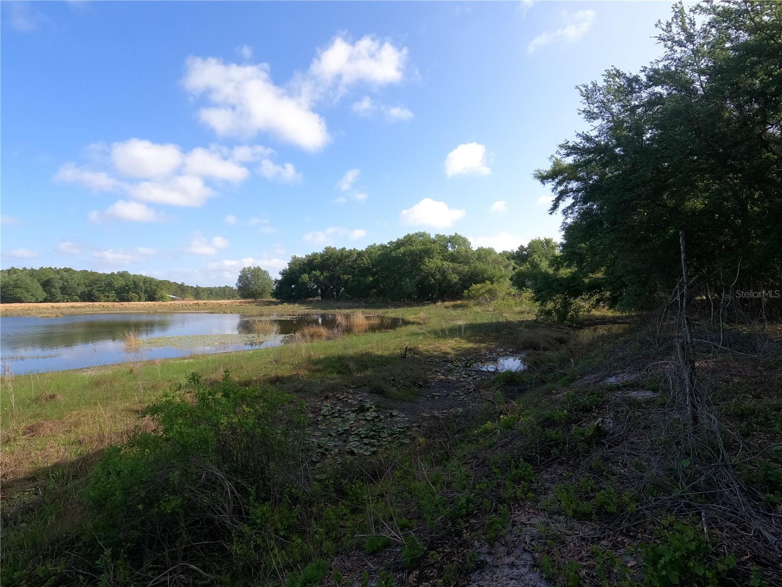 0 EARTH STAR LN, GROVELAND, FL, 34736