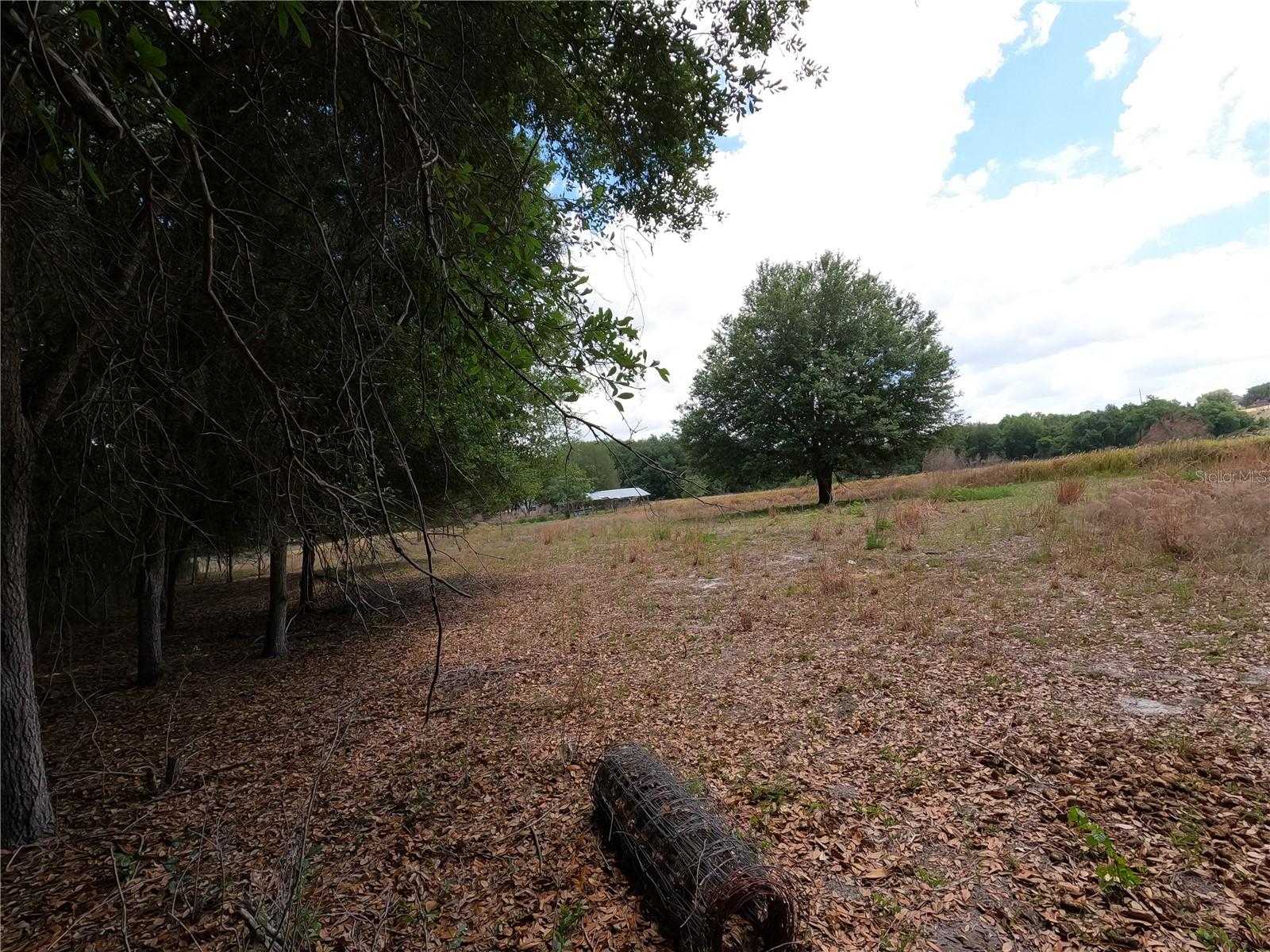 0 EARTH STAR LN, GROVELAND, FL, 34736