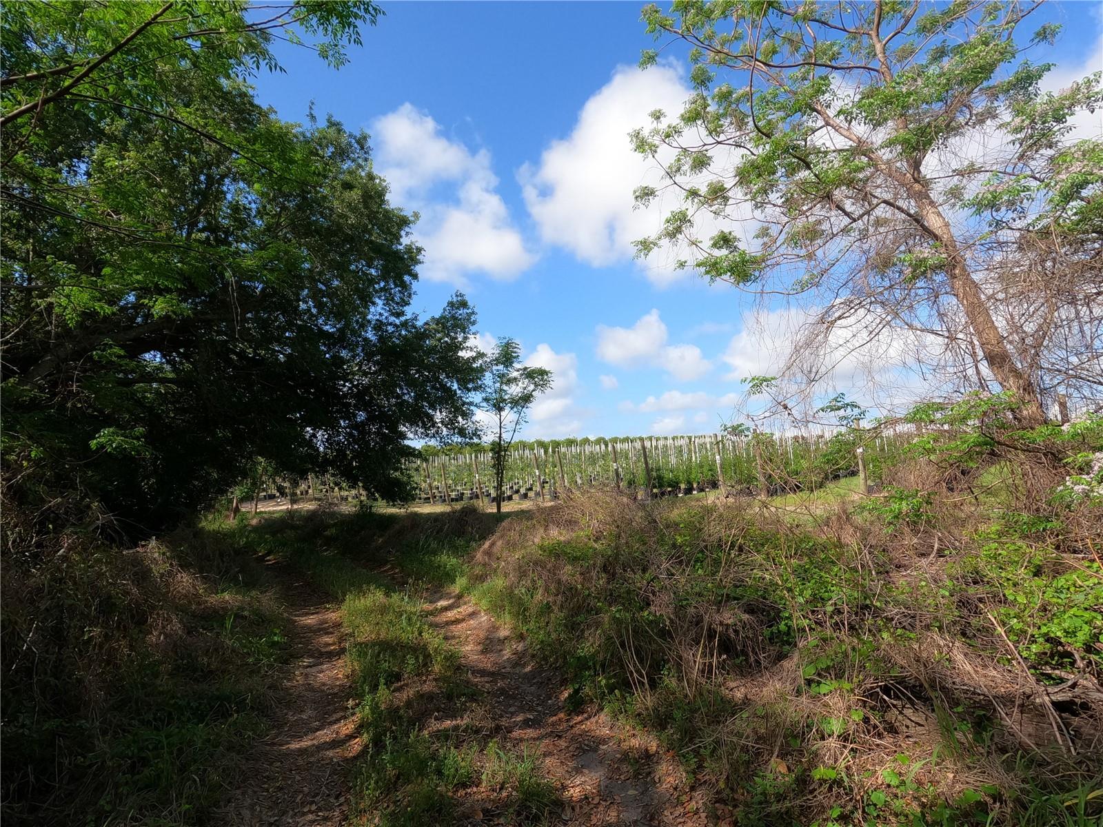 0 EARTH STAR LN, GROVELAND, FL, 34736