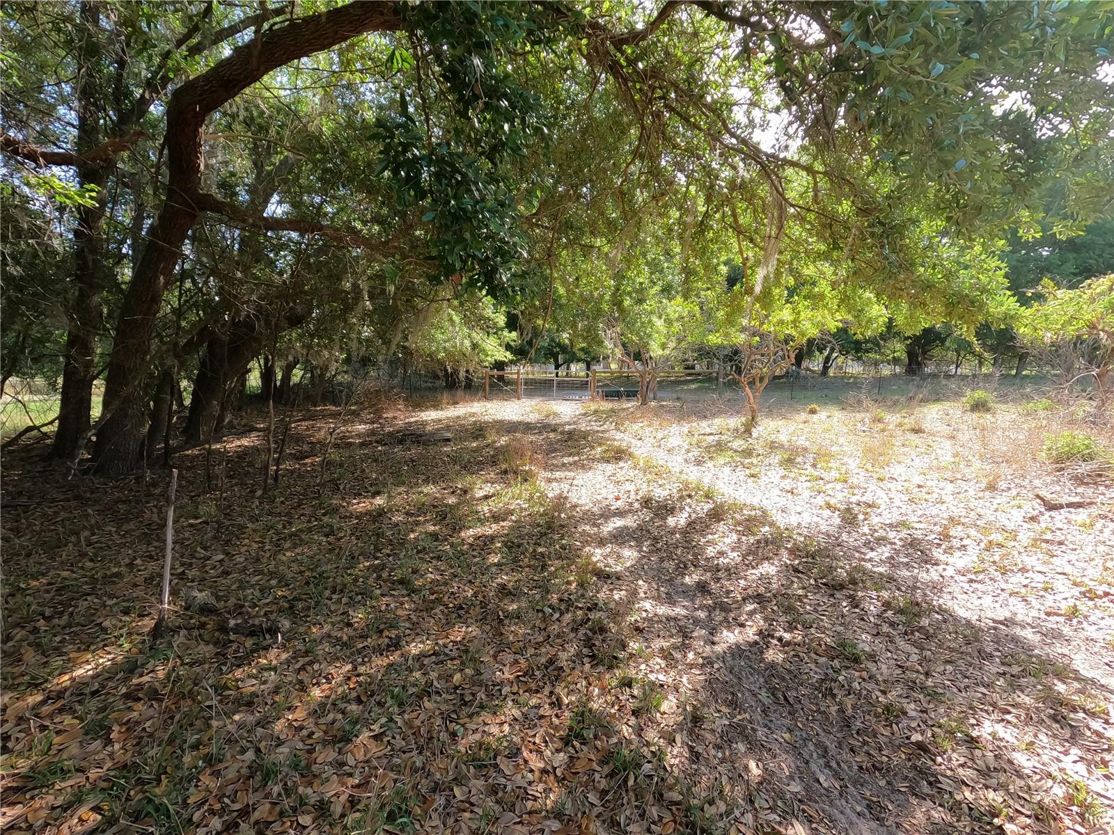 0 EARTH STAR LN, GROVELAND, FL, 34736