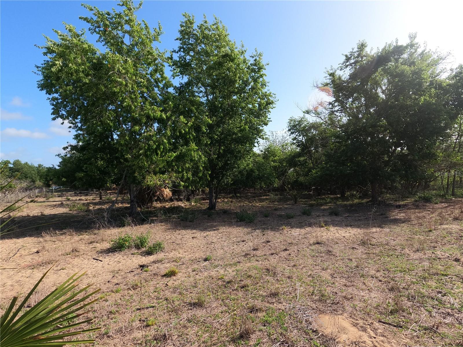 0 EARTH STAR LN, GROVELAND, FL, 34736