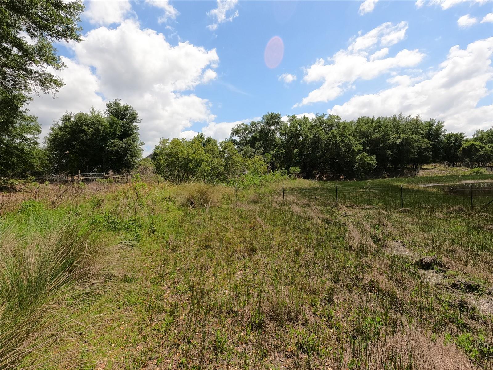 0 EARTH STAR LN, GROVELAND, FL, 34736