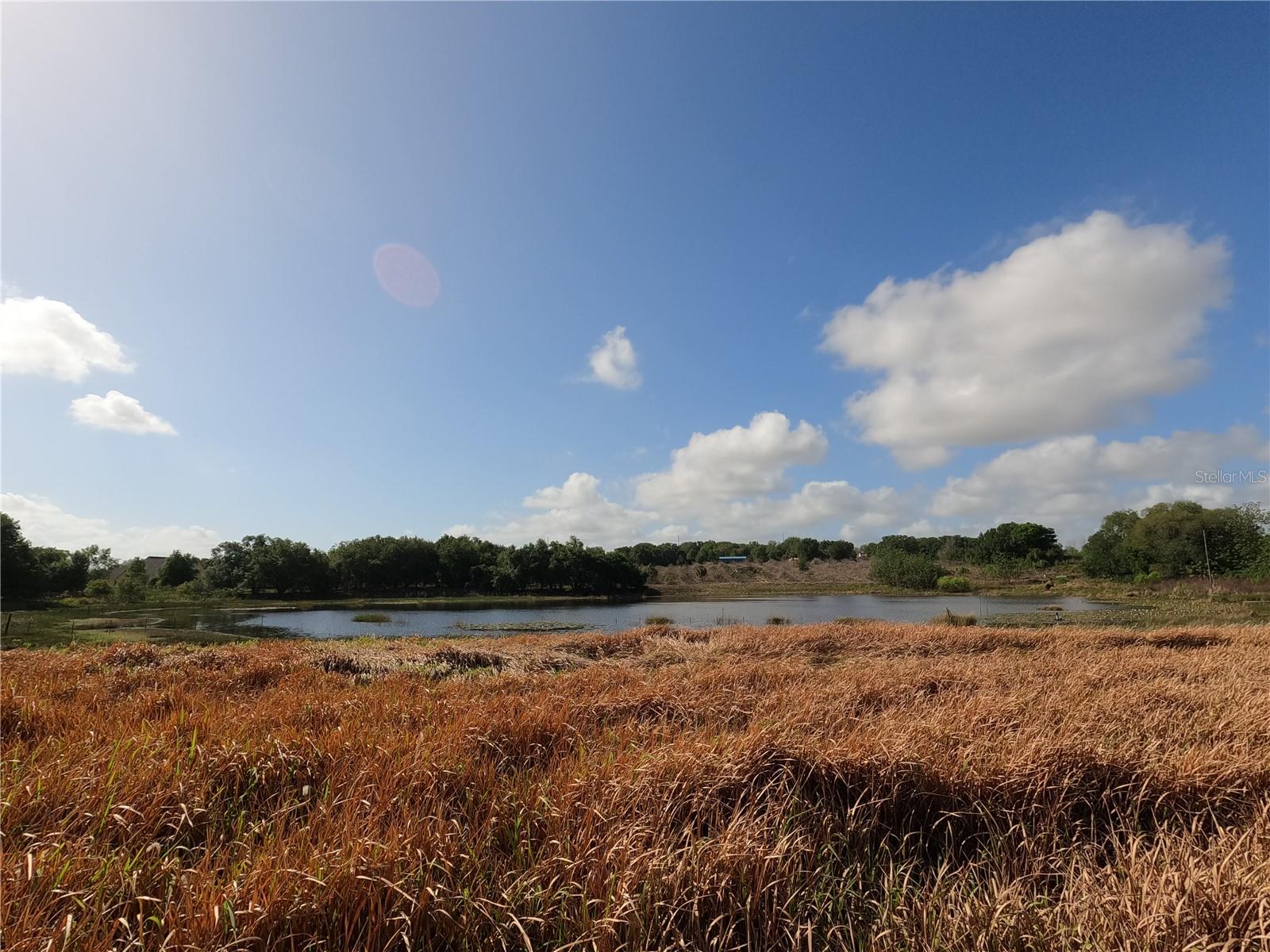 0 EARTH STAR LN, GROVELAND, FL, 34736