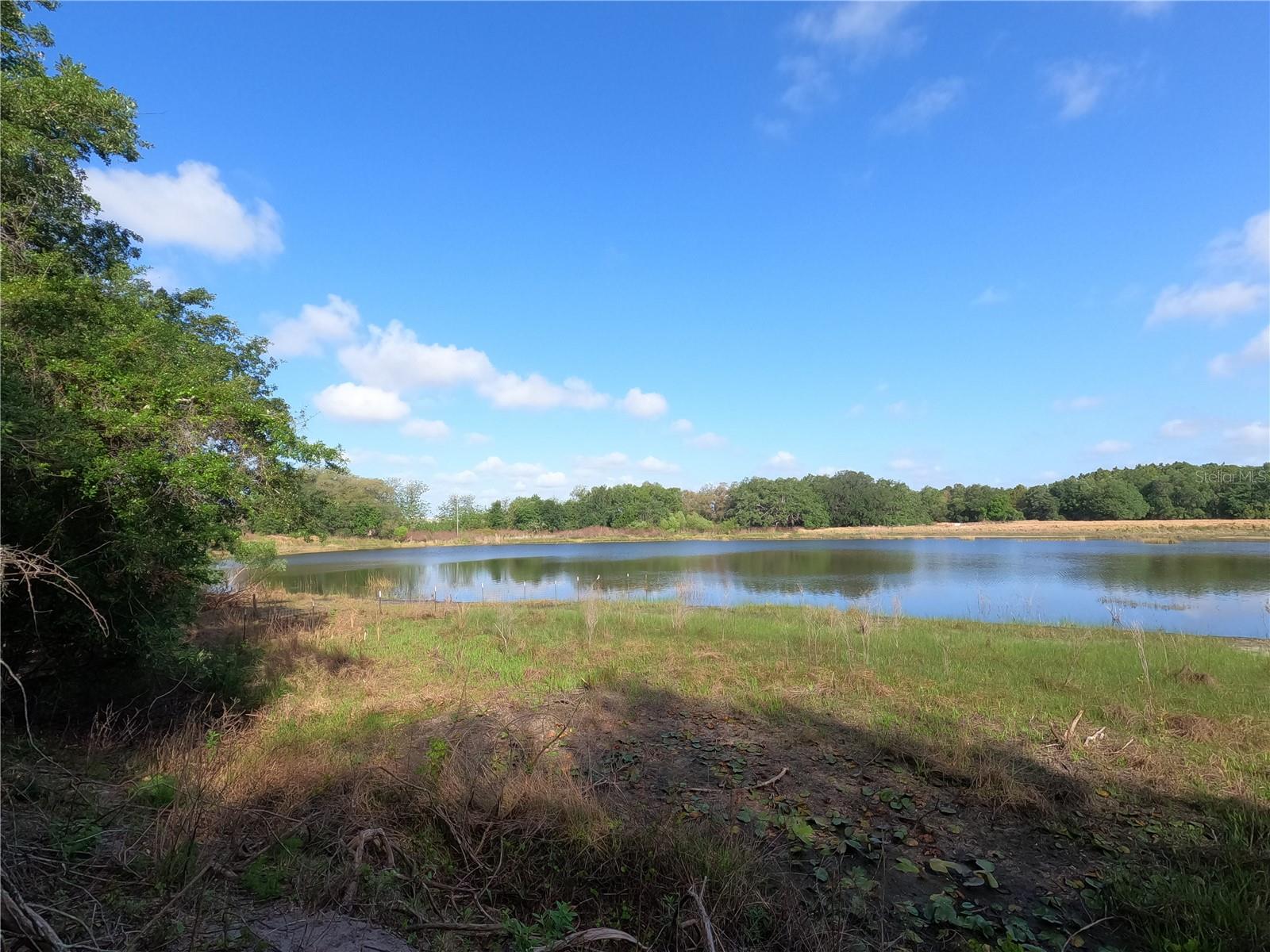 0 EARTH STAR LN, GROVELAND, FL, 34736