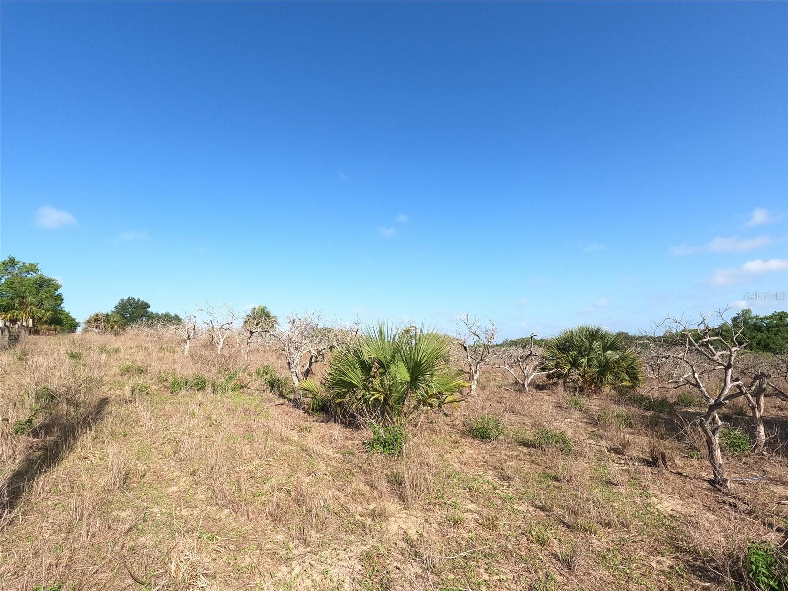 0 EARTH STAR LN, GROVELAND, FL, 34736