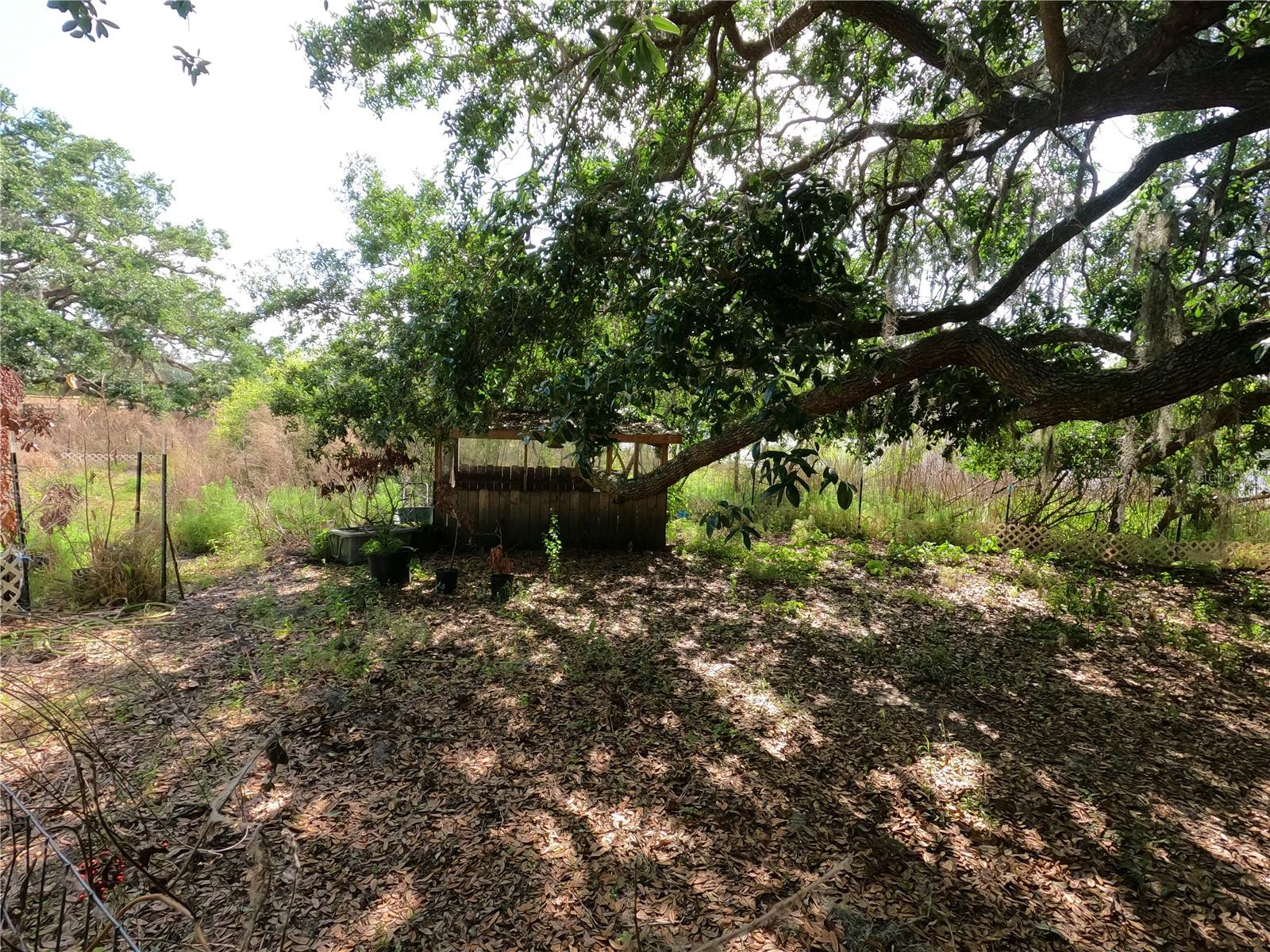 0 EARTH STAR LN, GROVELAND, FL, 34736