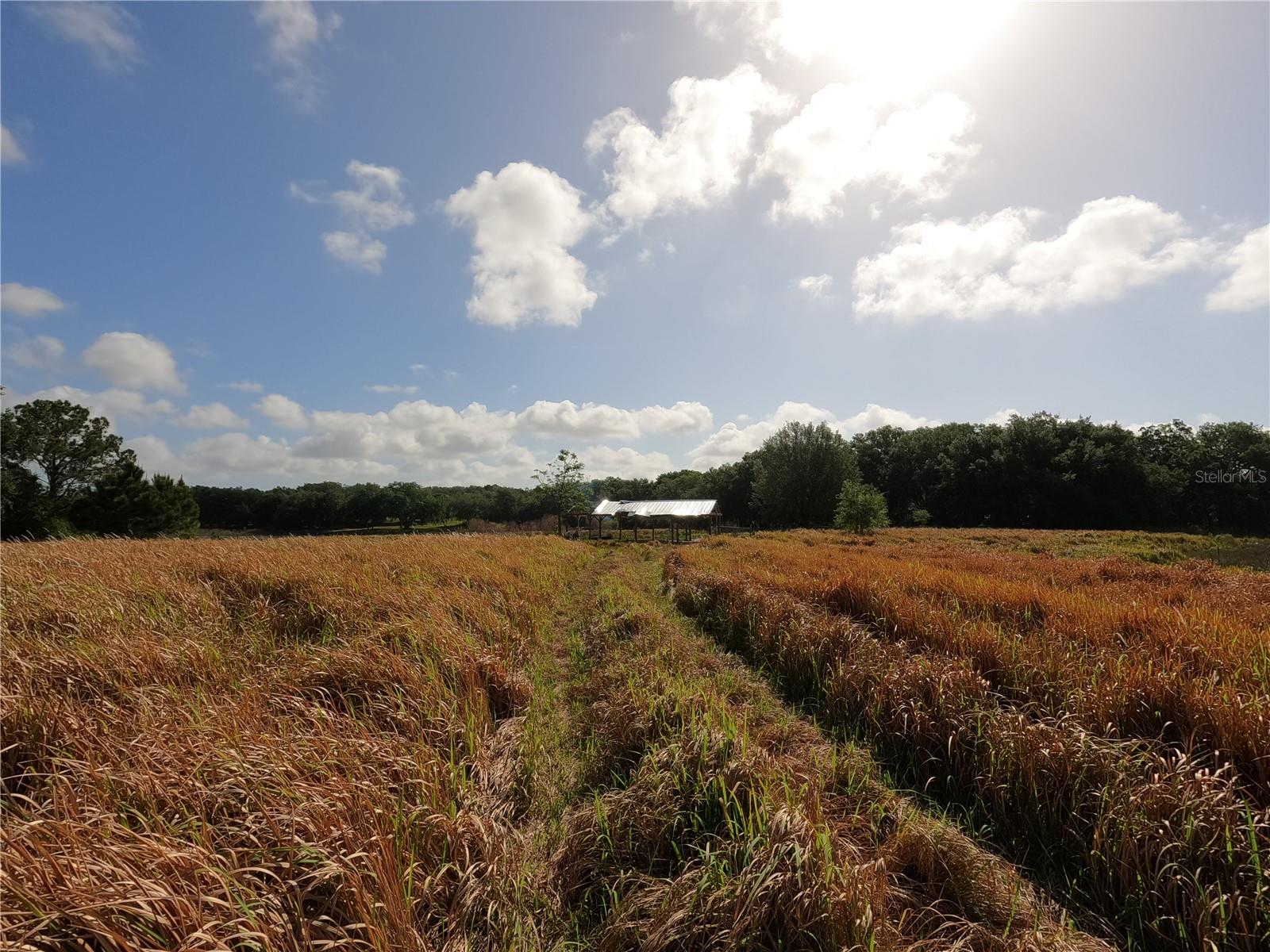 0 EARTH STAR LN, GROVELAND, FL, 34736