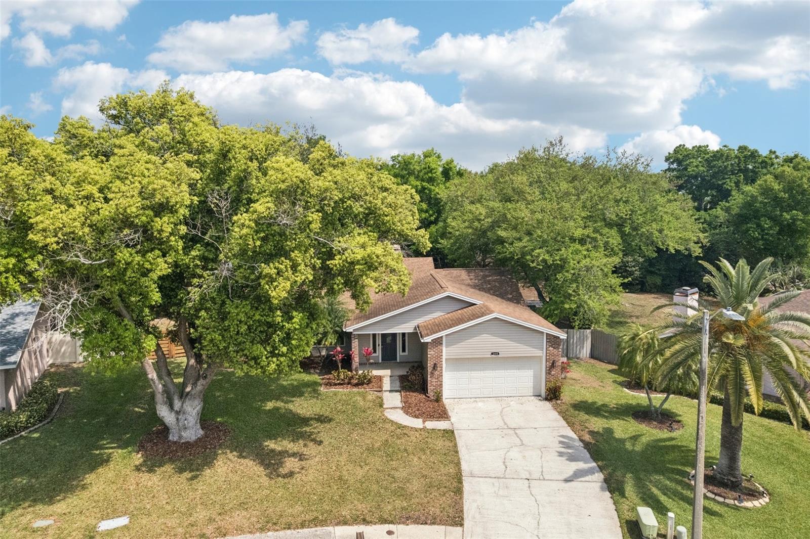 3109 LAKE VALENCIA LN E, PALM HARBOR, FL, 34684