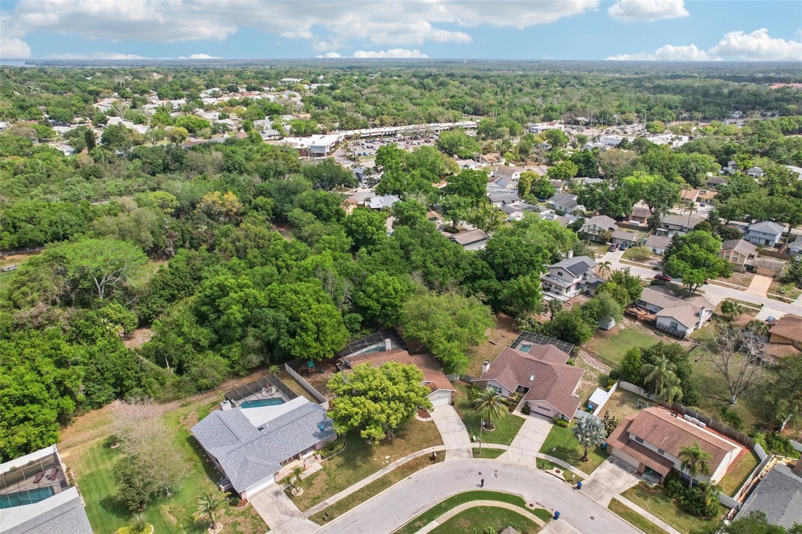 3109 LAKE VALENCIA LN E, PALM HARBOR, FL, 34684