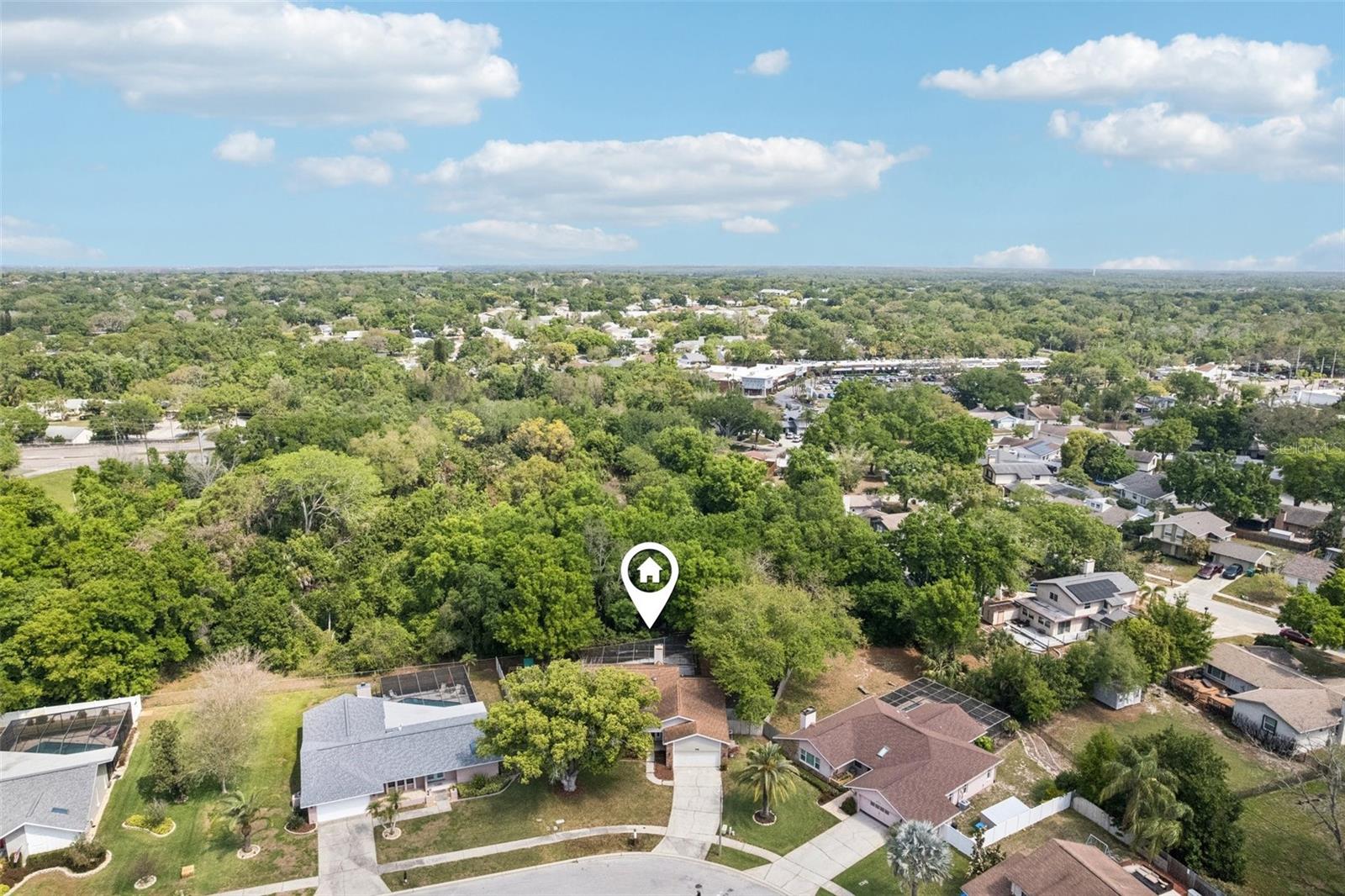 3109 LAKE VALENCIA LN E, PALM HARBOR, FL, 34684