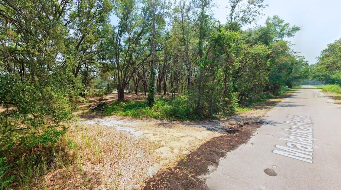 TBD MALAUKA RADIAL, OCKLAWAHA, FL, 32179