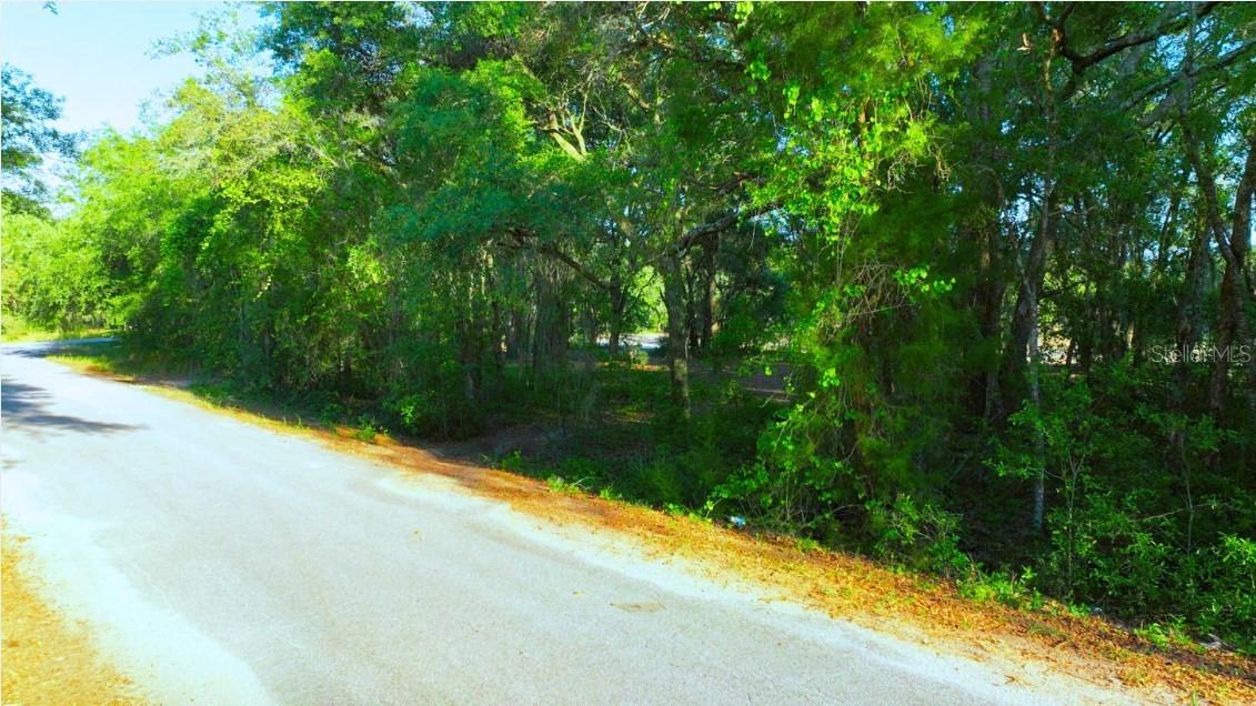 TBD MALAUKA RADIAL, OCKLAWAHA, FL, 32179