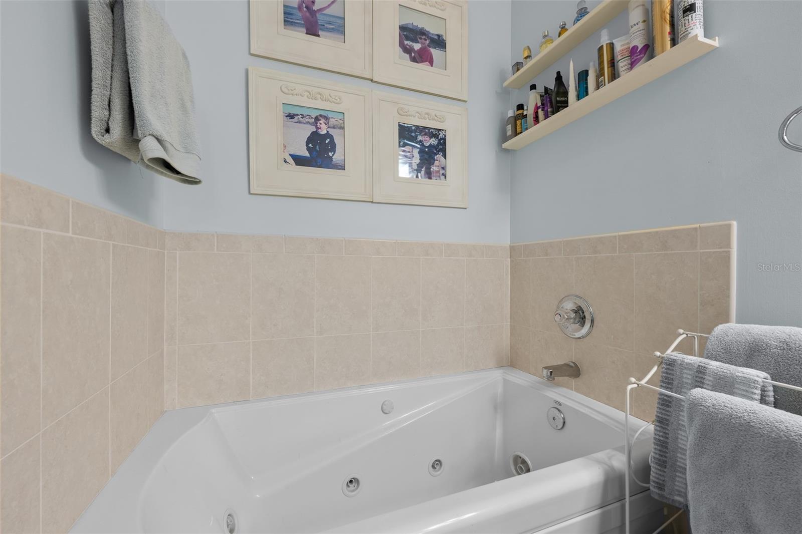 3217 W BAY AVE, TAMPA, FL, 33611