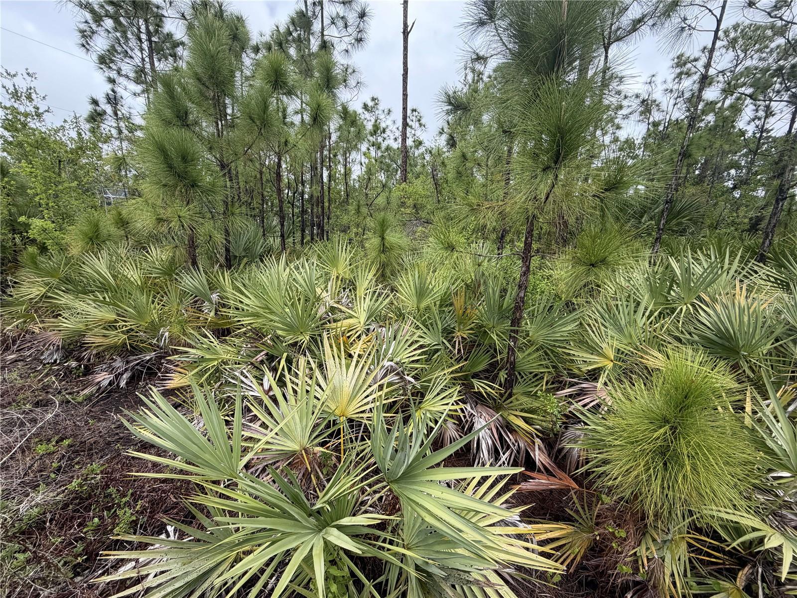 5397 BLUESTONE ST, PORT CHARLOTTE, FL, 33981