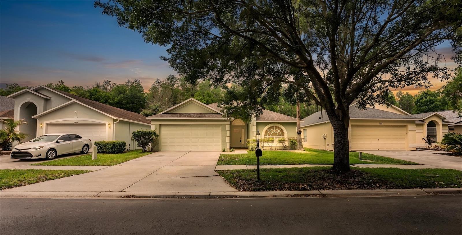 10458 LUCAYA DR, TAMPA, FL, 33647