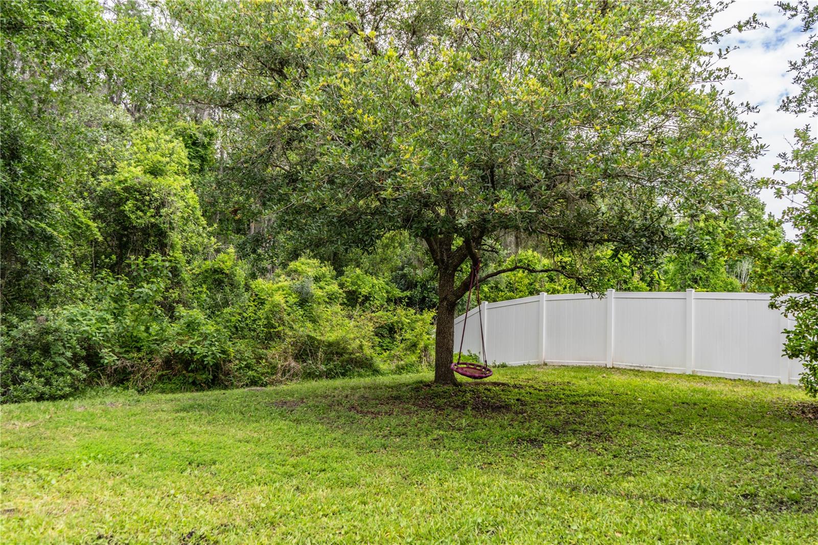 10458 LUCAYA DR, TAMPA, FL, 33647