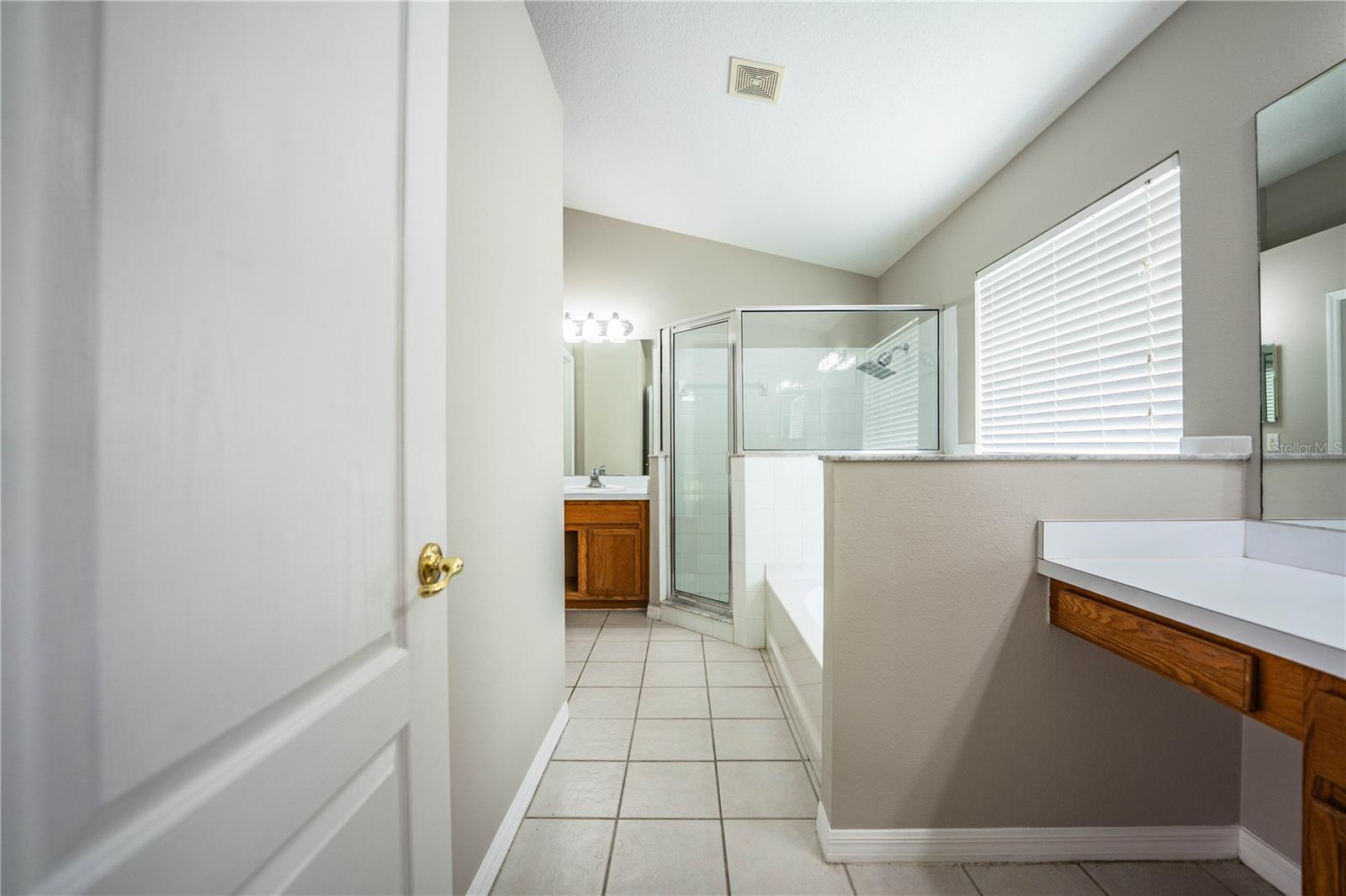 10458 LUCAYA DR, TAMPA, FL, 33647