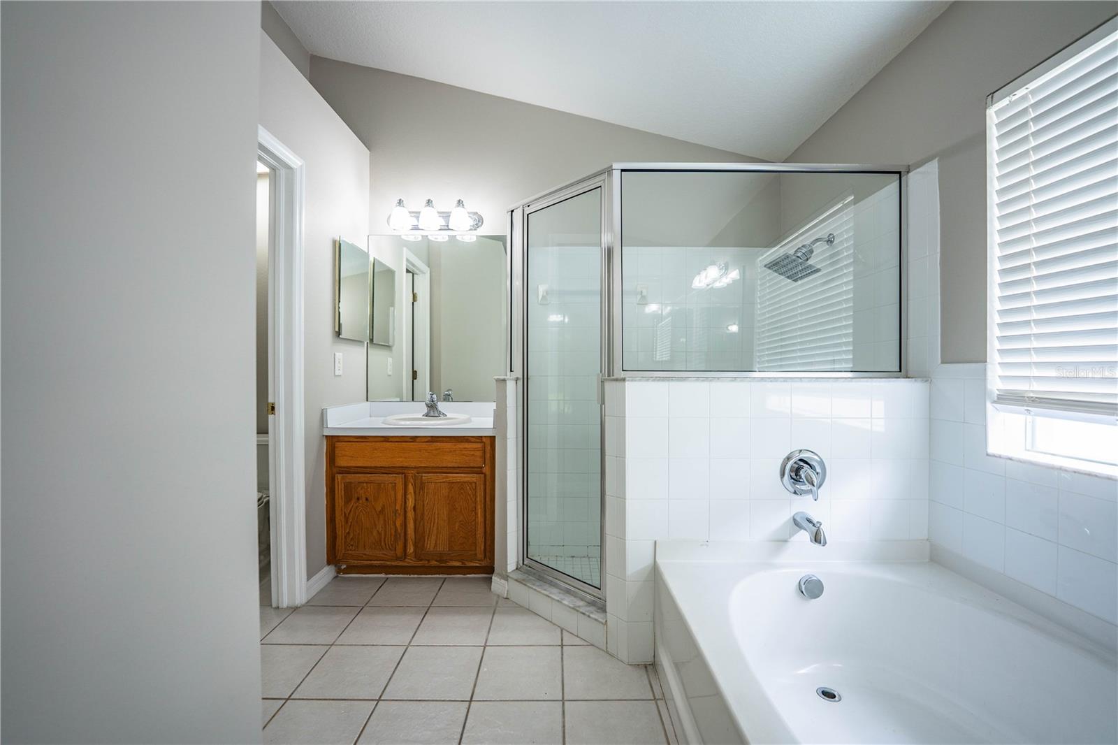 10458 LUCAYA DR, TAMPA, FL, 33647